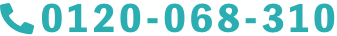 0120-068-310